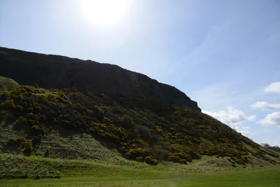 DSC_7343 (Large).JPG